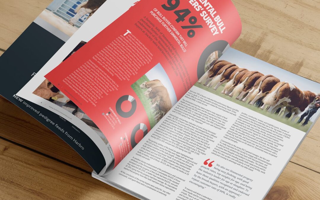 British Simmental